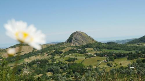 Il Monte San Marco dal Monte Costa Grande Comune di Montecopiolo PU